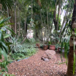 Apartamento à venda com 2 quartos, sendo 1 suíte, em Vila Olímpia, São Paulo, SP