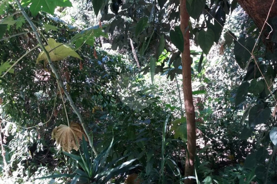 Terreno à venda em Tremembé, São Paulo, SP
