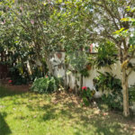 Casa à venda com 3 quartos, sendo 1 suíte, no condomínio Picollo Villaggio, Louveira - SP