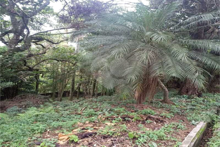 Terreno à venda no condomínio Associação Reserva das Hortênsias, Mairiporã - SP