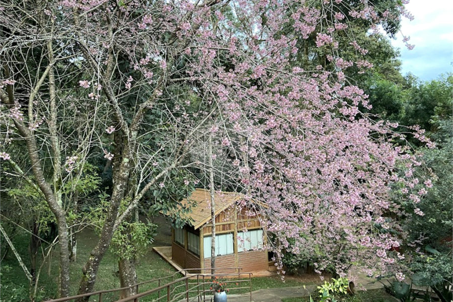 Casa à venda com 6 suítes em Serra da Cantareira, Mairiporã, SP