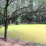 Terreno à venda em Vista Alegre, Vinhedo, SP