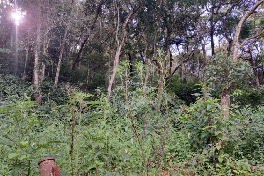 Terreno à venda em Terra Preta (terra Preta), Mairiporã, SP