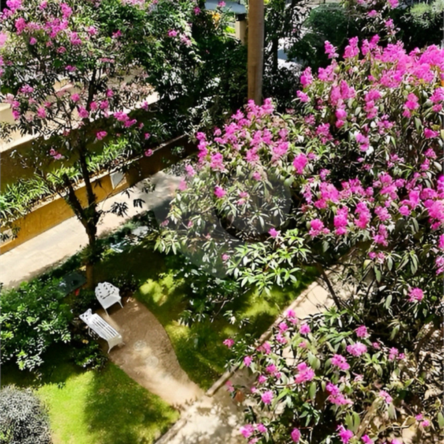 Apartamento à venda com 4 quartos, sendo 1 suíte, em Perdizes, São Paulo, SP