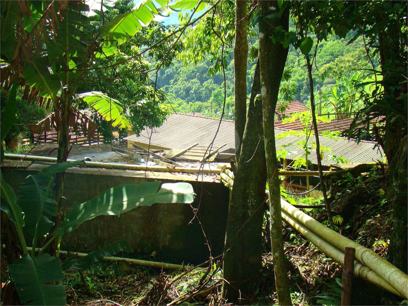 Fazenda à venda com 7 quartos, sendo 3 suítes, em Professor Souza, Casimiro de Abreu, RJ