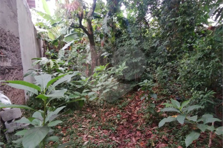Terreno à venda em Vila Carmosina, São Paulo, SP