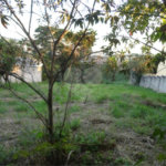 Terreno à venda em Bosque, Vinhedo, SP