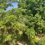 Chácara à venda com 3 quartos em Jardim Nova América, Louveira, SP