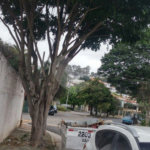 Sobrado à venda com 3 quartos, sendo 1 suíte, em Jardim Franca, São Paulo, SP