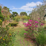 Casa à venda com 3 quartos em Área Rural de Alambari, Alambari, SP