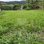 Lote à Venda no Porto Atibaia – 1.300 m² com Vista Privilegiada