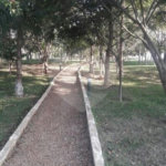 Apartamento à venda com 2 quartos em Água Chata, Guarulhos, SP