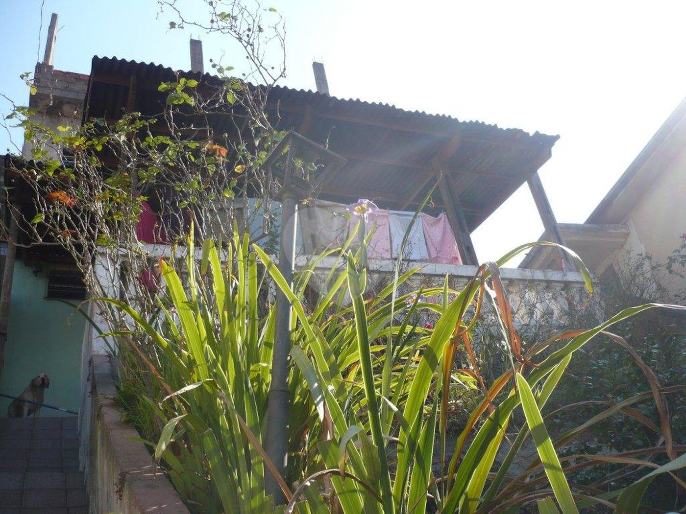 Sobrado à venda com 2 quartos em Vila Guilherme, São Paulo, SP
