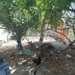 Terreno à venda no condomínio 200, Rio de Janeiro - RJ