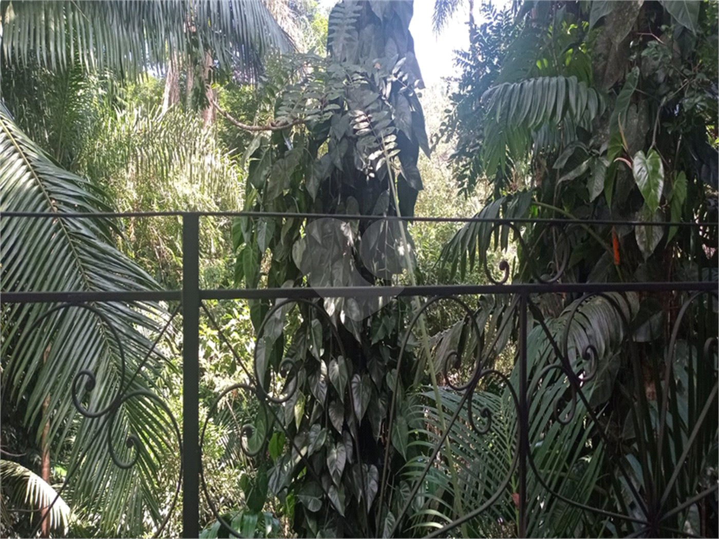 Casa Térrea à venda com 3 quartos, sendo 1 suíte, em Serra da Cantareira, Mairiporã, SP