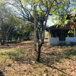 Sítio à venda com 3 quartos em Área Rural de Três Lagoas, Três Lagoas, MS