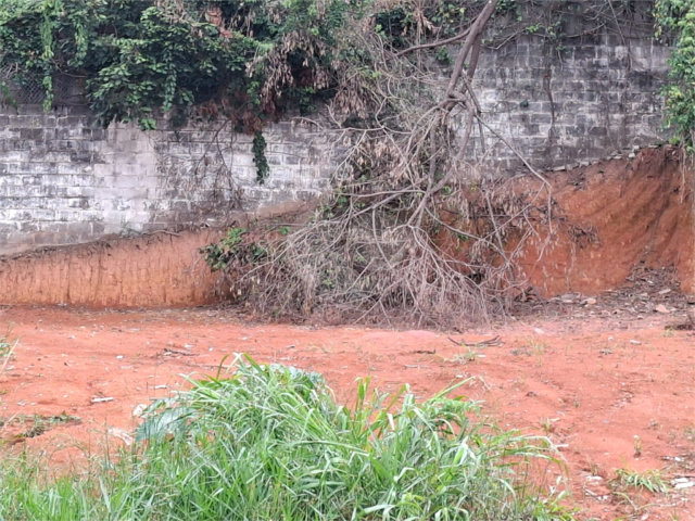 Terreno à venda em Vila Albertina, São Paulo, SP