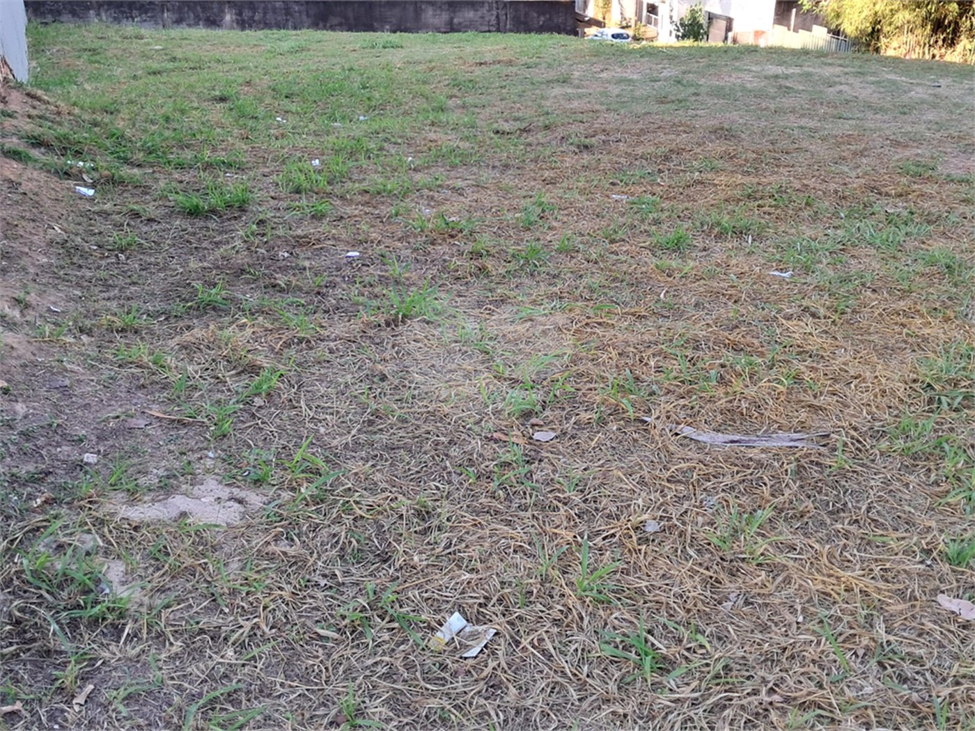Terreno à venda em Jardim Ypê, Paulínia, SP