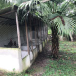 Sítio à venda com 5 quartos, sendo 2 suítes,  em Parque Recreio Dom Pedro Ii (guia de Pacobaíba), Magé, RJ