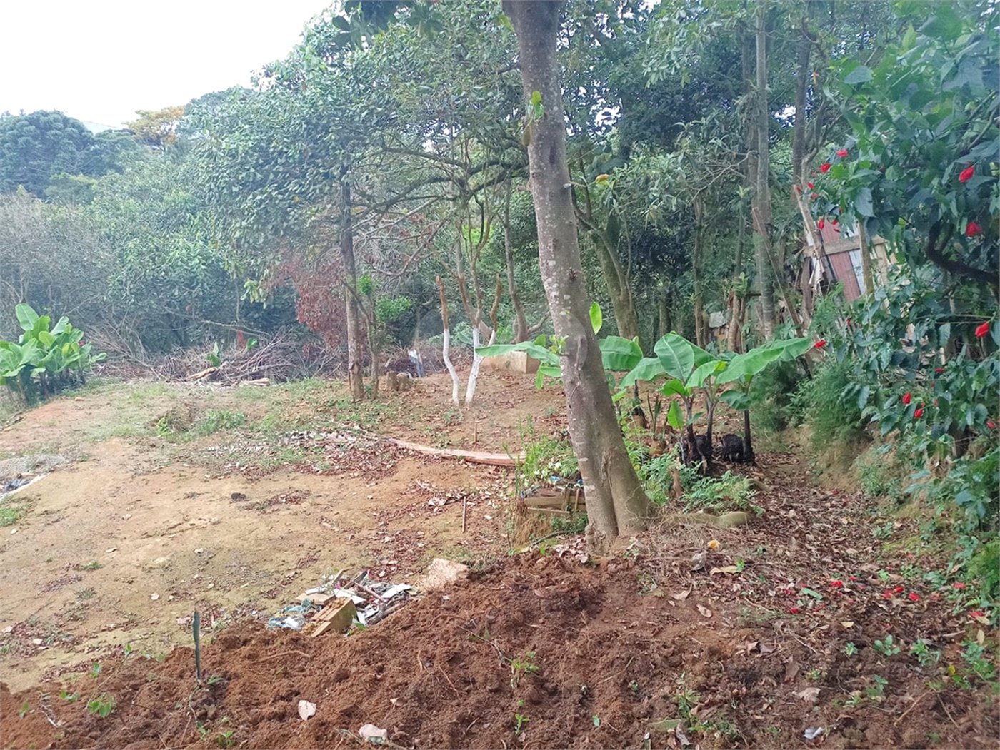 Terreno à venda em Vila Sol Nascente, Suzano, SP