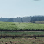 Sítio à venda com 2 suítes em Buru, Salto, SP