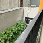 Apartamento à venda com 1 quarto em Pinheiros, São Paulo, SP