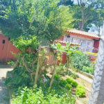 Sobrado à venda com 3 quartos, sendo 1 suíte, em Jardim Casa Branca, Suzano, SP