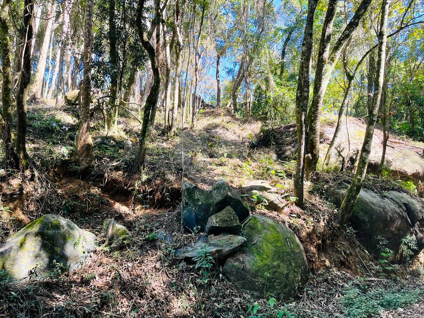 Terreno à venda em Jundiaizinho (terra Preta), Mairiporã, SP