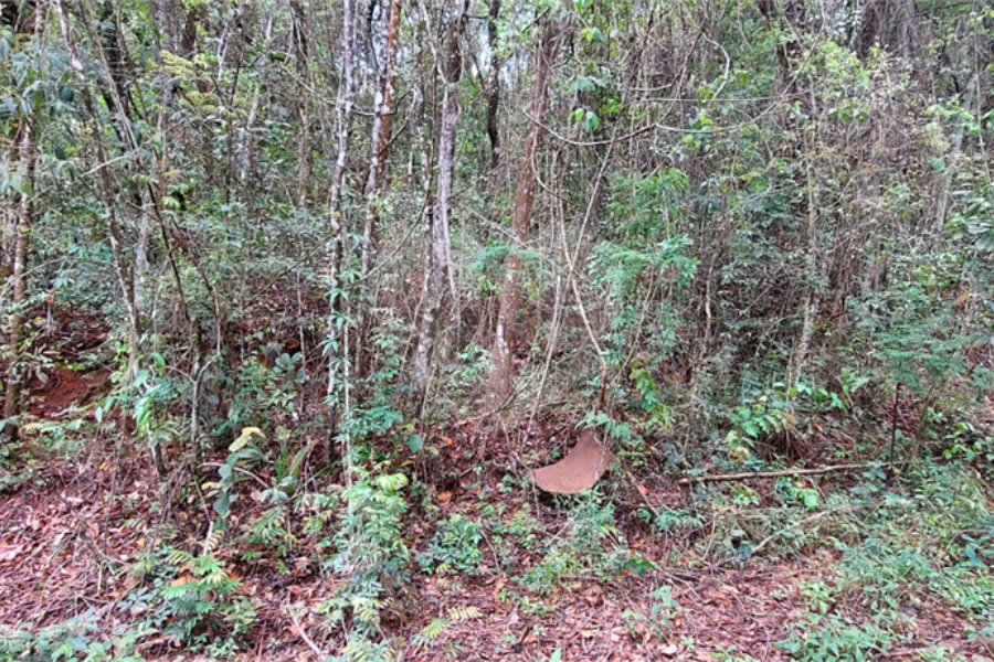 Terreno à venda no condomínio Alpes da Cantareira, Mairiporã - SP