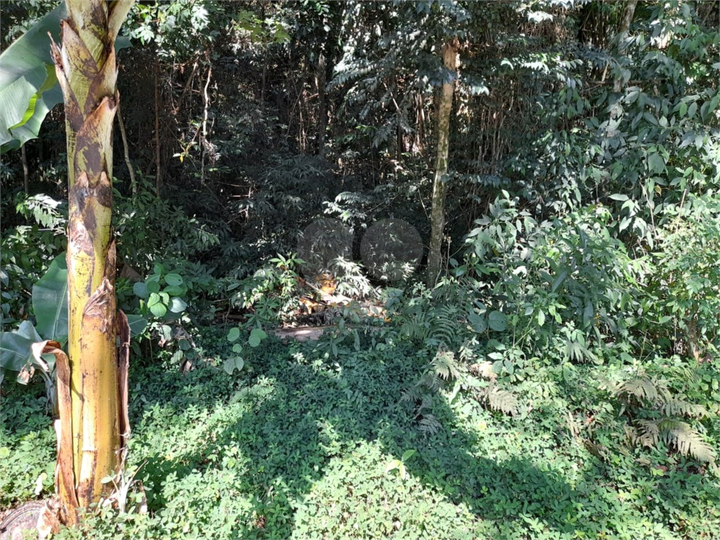 Terreno à venda em Roseira, Mairiporã, SP