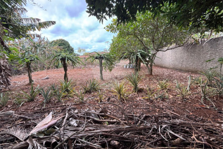 Chácara à venda com 3 quartos em Vila Sottemo, Itapetininga, SP
