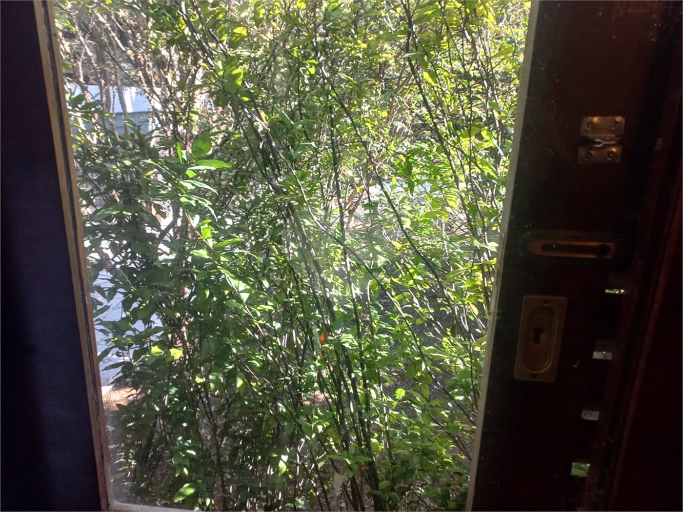 Casa à venda com 3 quartos, sendo 2 suítes, em Morumbi, São Paulo, SP