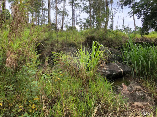 Terreno à venda em Serra da Cantareira, Mairiporã, SP