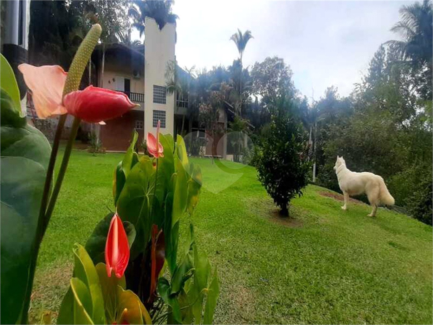 Sobrado à venda com 4 suítes em Serra da Cantareira, Mairiporã, SP