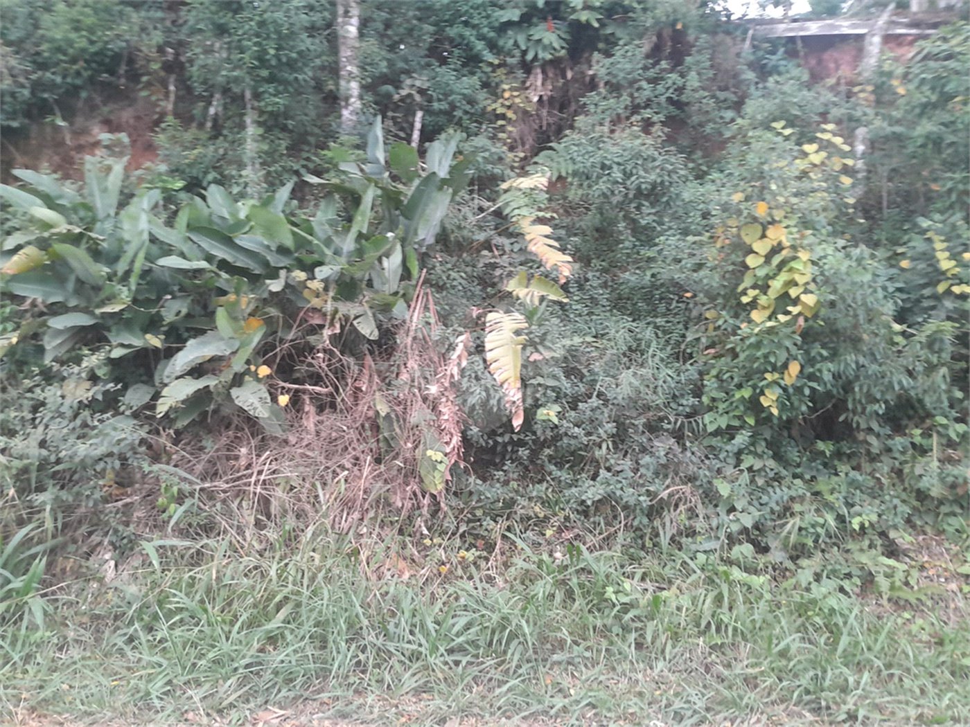 Terreno à venda em Serra da Cantareira, Mairiporã, SP