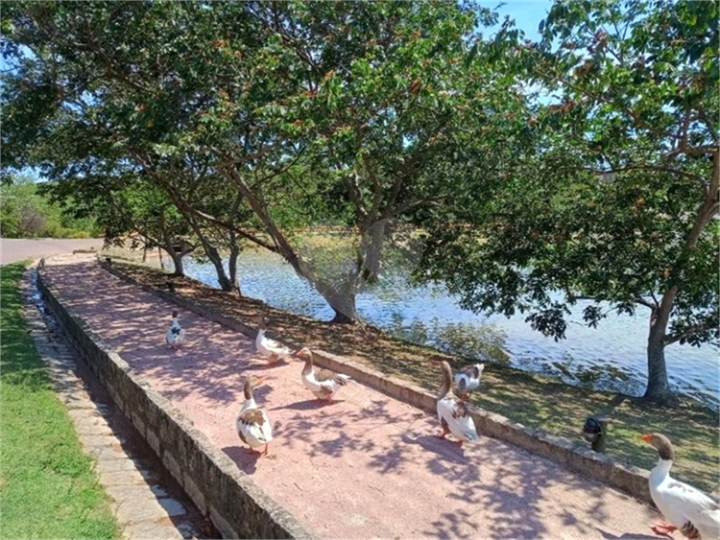 Terreno à venda com 1 suíte em Jardim São Bento do Recreio, Valinhos, SP