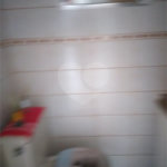 Sobrado à venda com 3 quartos em Vila Mazzei, São Paulo, SP