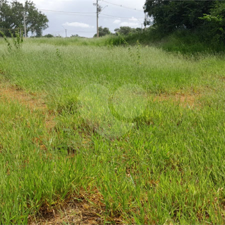 Terreno à venda ou para alugar em Cruz das Almas, Itu, SP