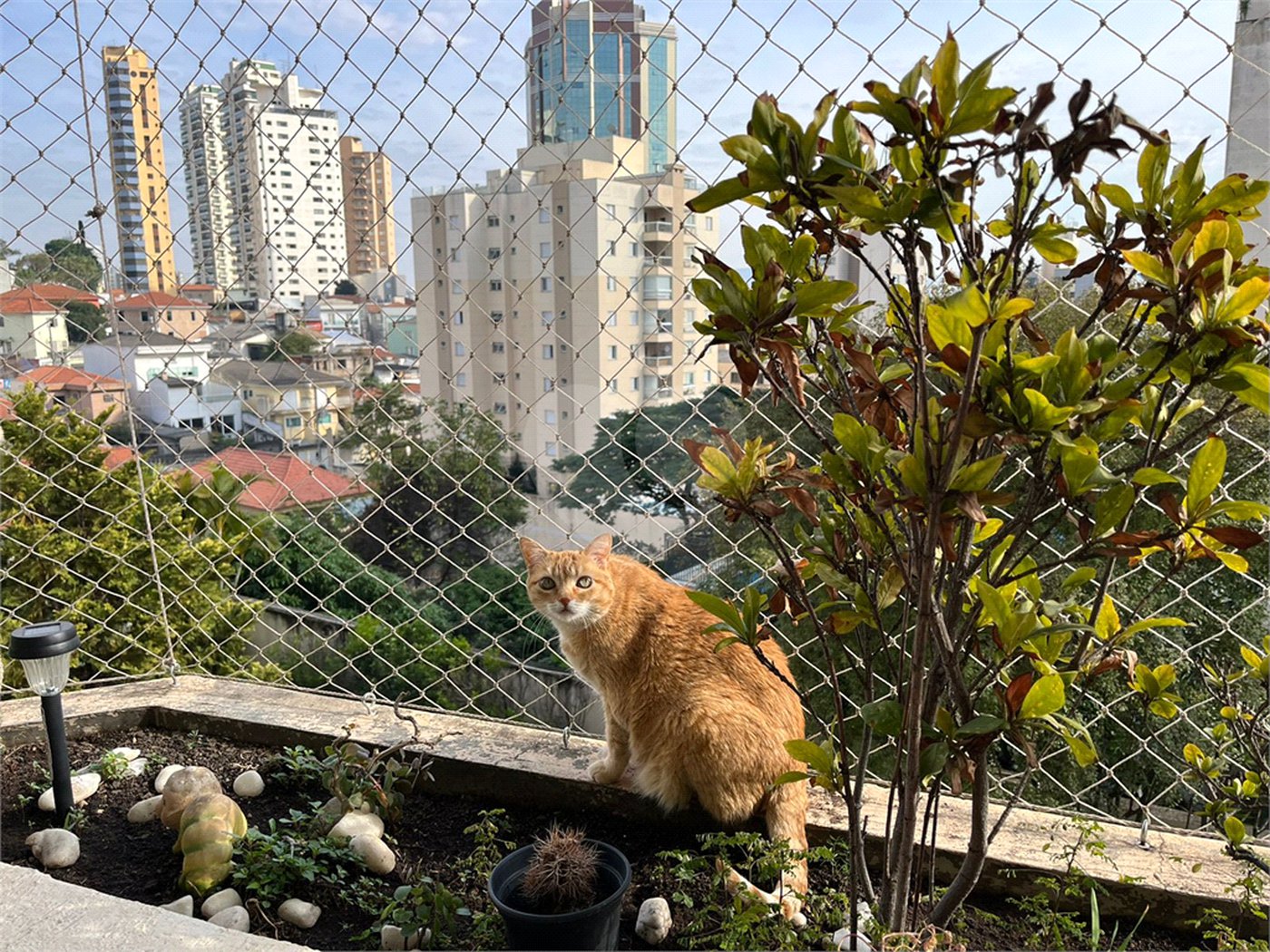 Apartamento à venda com 4 quartos, sendo 2 suítes,  em Água Fria, São Paulo, SP
