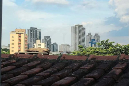 Apartamento à venda com 1 quarto em Tucuruvi, São Paulo, SP