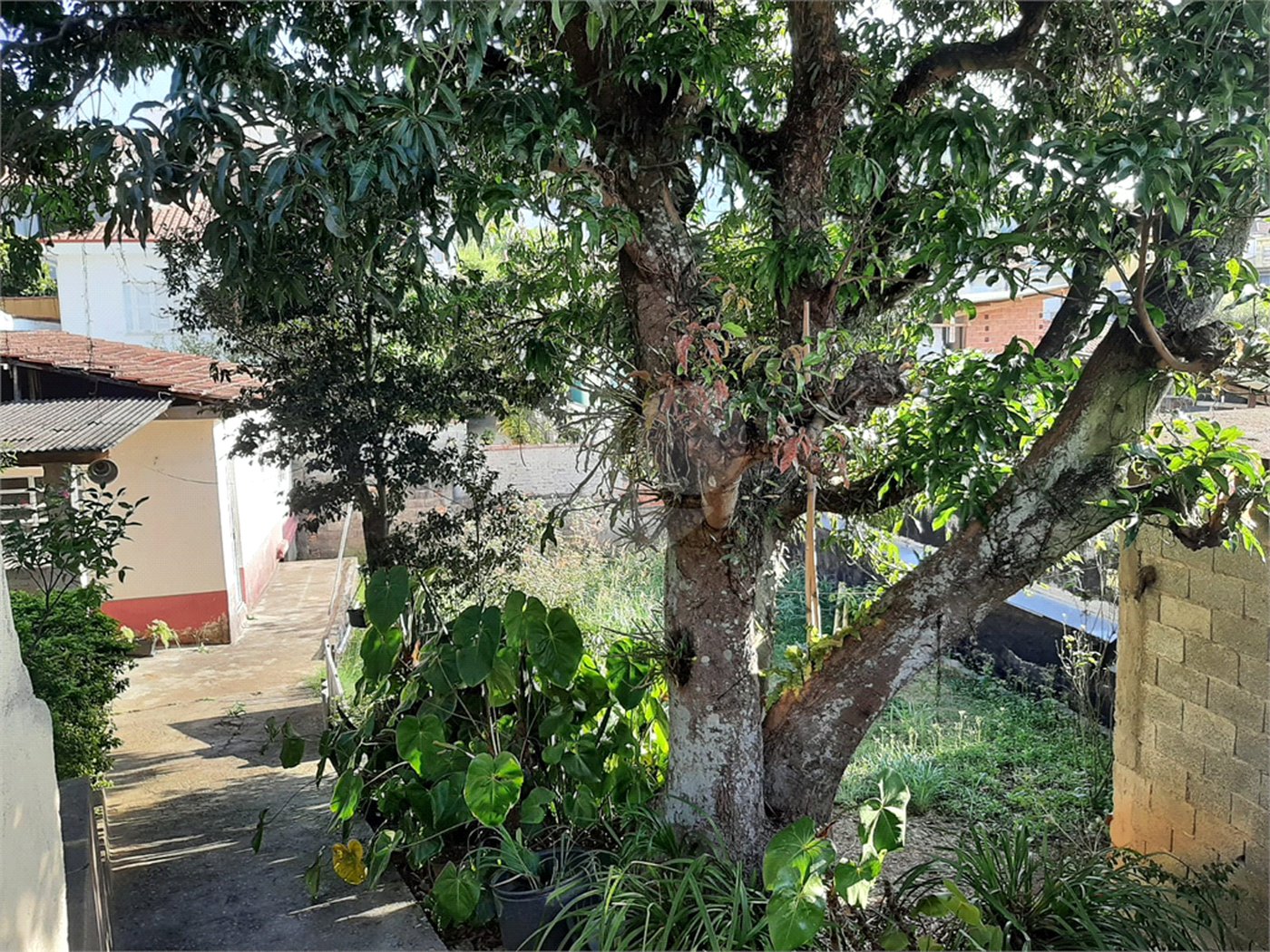 Terreno à venda em Vila Mazzei, São Paulo, SP