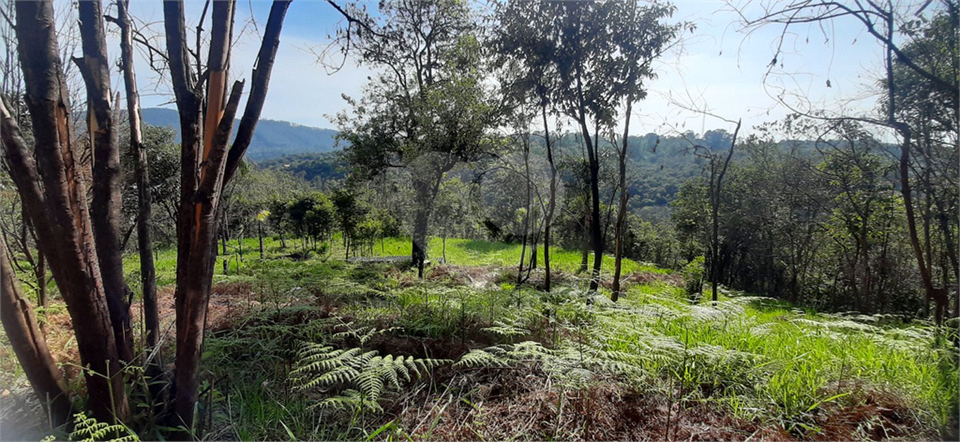 Terreno à venda em São Vicente, Mairiporã, SP