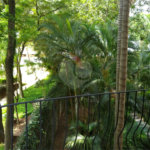 Apartamento à venda com 3 quartos, sendo 1 suíte,  em Real Parque, São Paulo, SP
