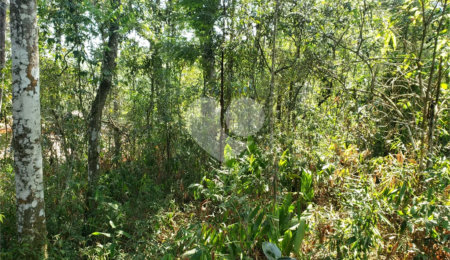 Terreno à venda no condomínio Cantareira, Mairiporã - SP