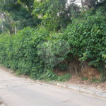 Terreno à venda em Serra da Cantareira, Mairiporã, SP