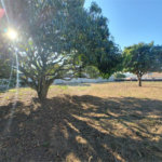 Terreno à venda em Jardim dos Pinheiros, Atibaia, SP
