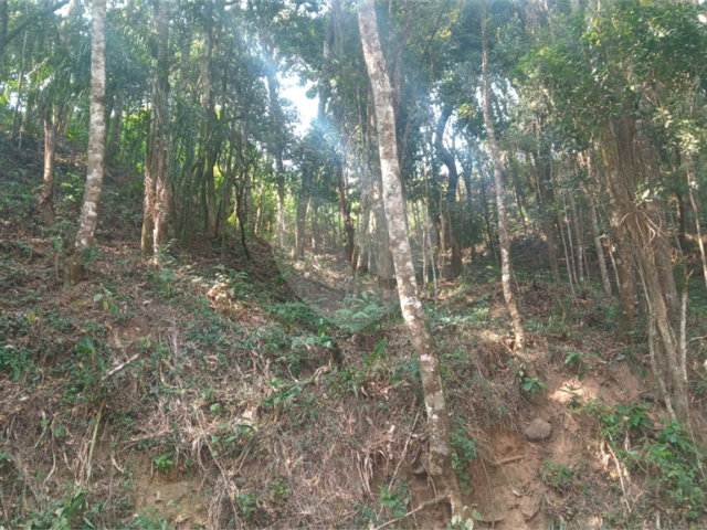 Terreno à venda em Serra da Cantareira, Mairiporã, SP