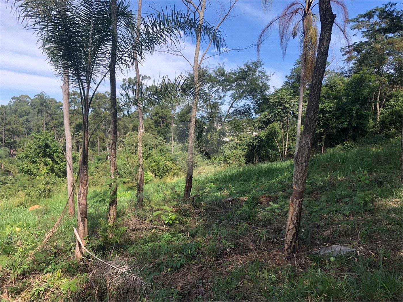 Terreno à venda no Centro, Bom Jesus dos Perdões, SP