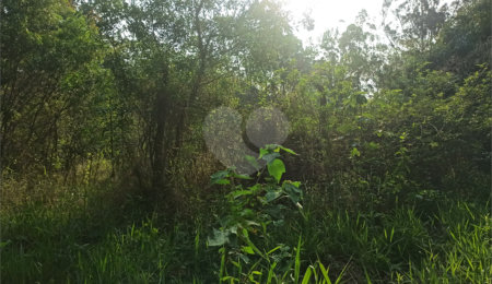 Terreno à venda em Bosque dos Eucalíptos, Atibaia, SP