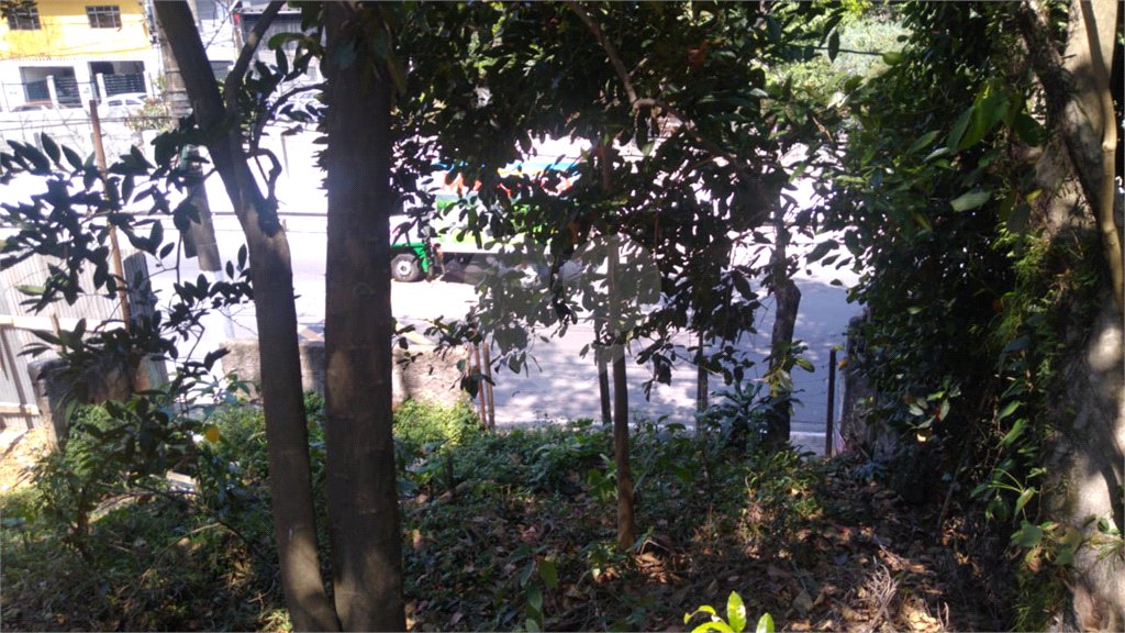 Terreno à venda em Vila Albertina, São Paulo, SP